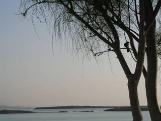 Dead Sea Life