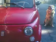 Can we ride this little tripsmobile?