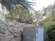 Israel on My Mind