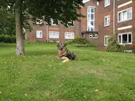 Jam’s closest grass these days