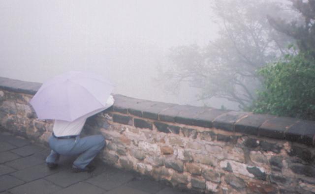 The Beauty of Rain