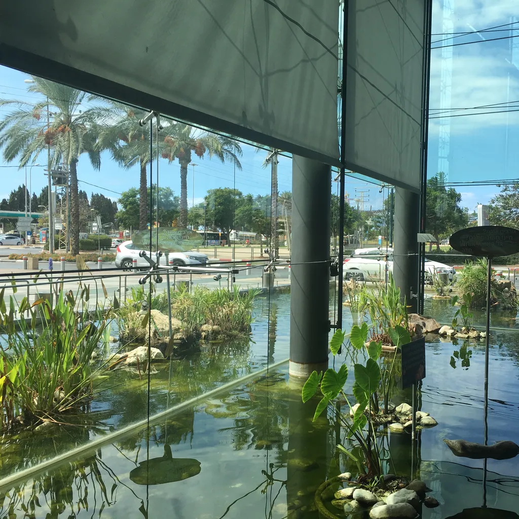 Mall & Pond