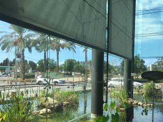Mall & Pond