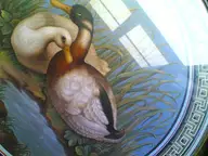 Why a Duck Mosaic