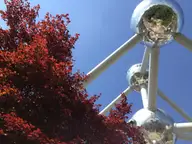 Tree and Tubes