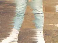 Xanadu Zits