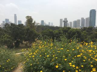 NE TLV