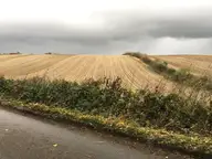 Making Hay