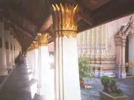 Cat and the Green Buddha’s temple