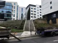Development