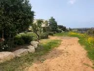 Ra’anana Stroll