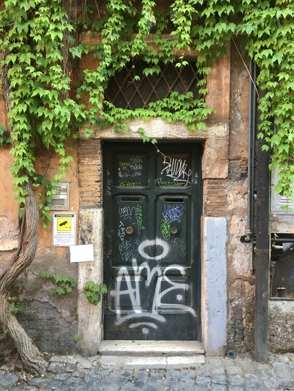 Somebody’s Home