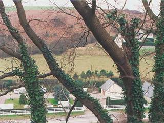 Rich Winter Trees