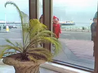 Scary seafront