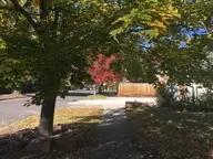 A Nice Street in Denver