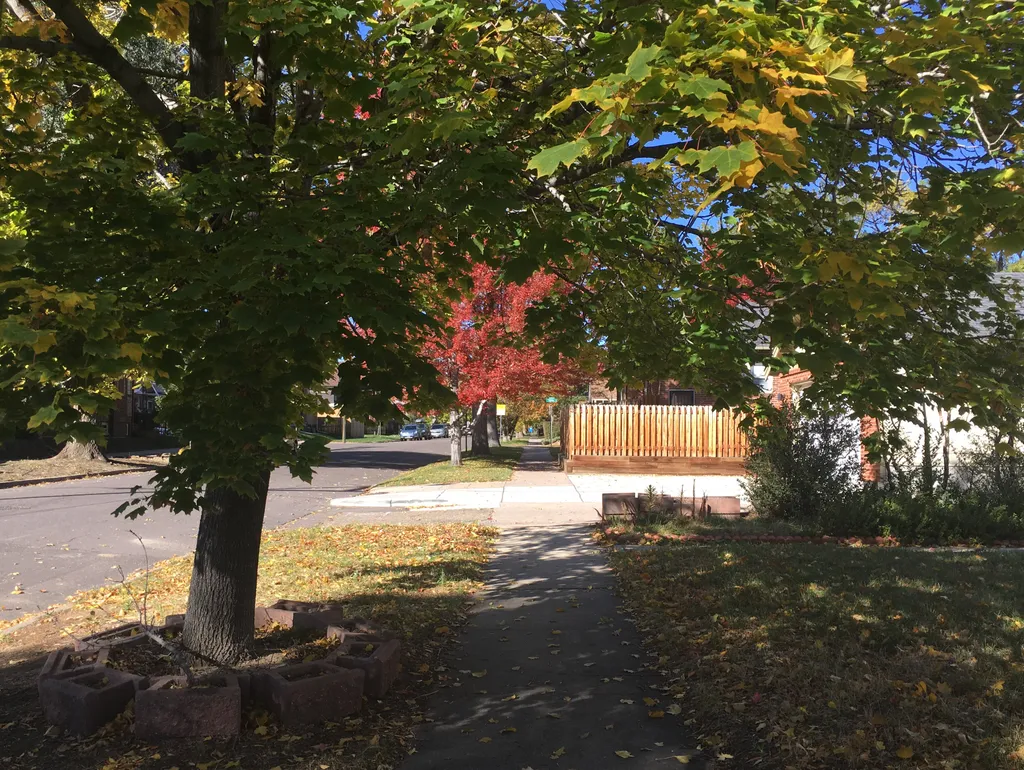 A Nice Street in Denver