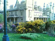 Man in Eccentric Oasis