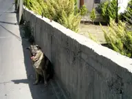 Jam by a wall