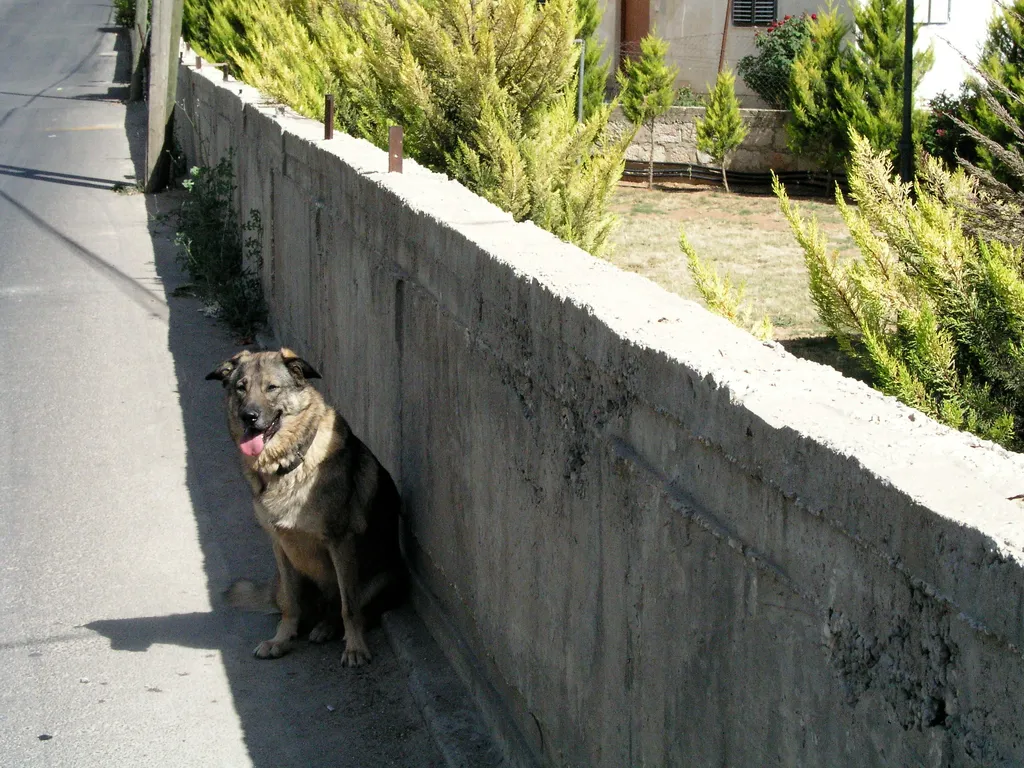Jam by a wall