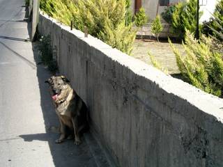 Jam by a wall
