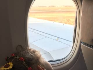 Girl on a Plane