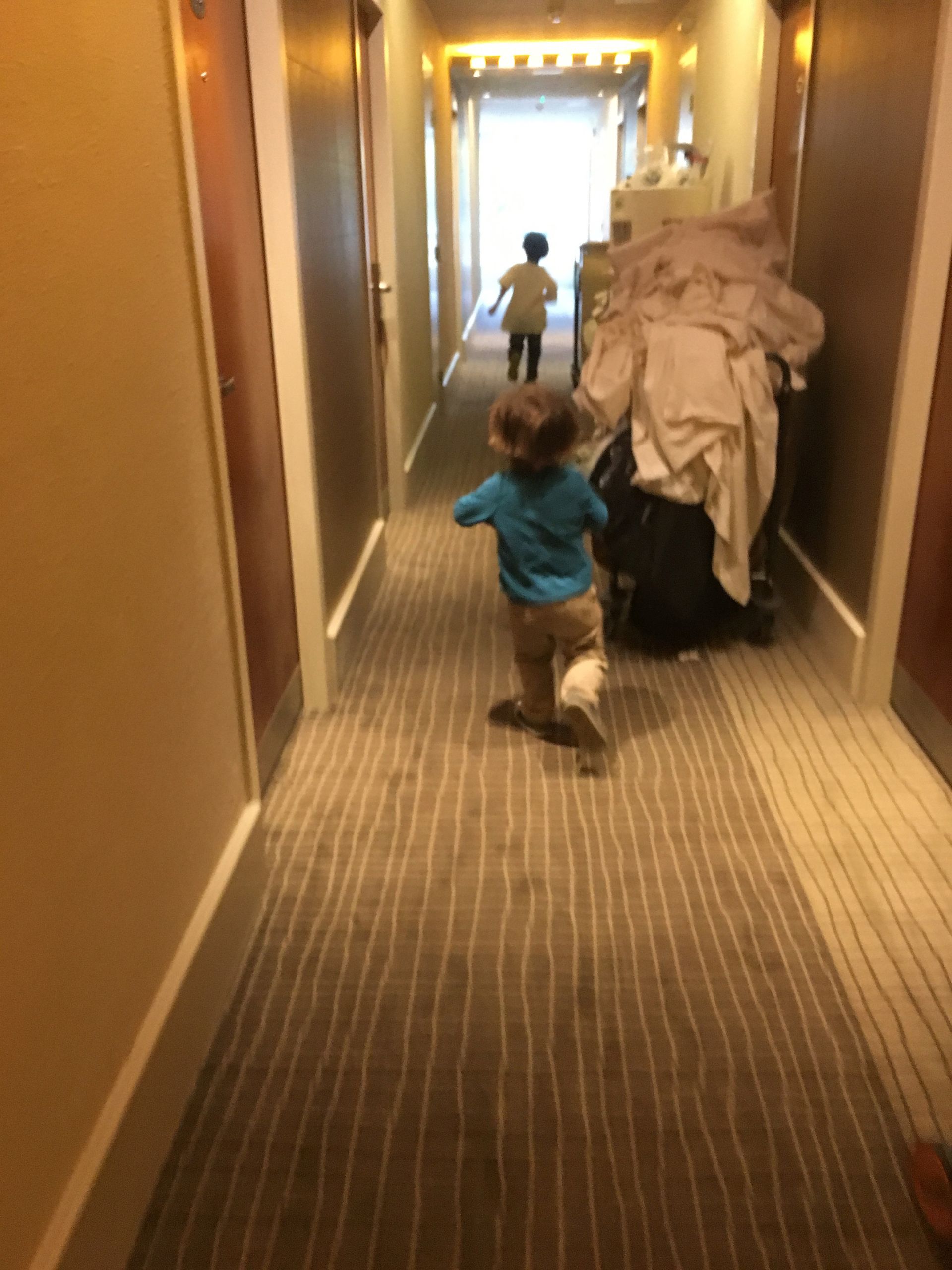Brothers in Hotels