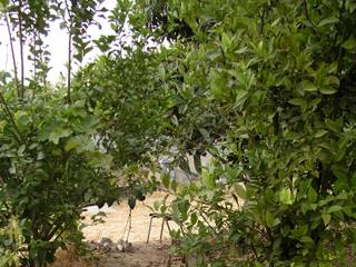 Yard with 3 Used Mineral Water Tanks