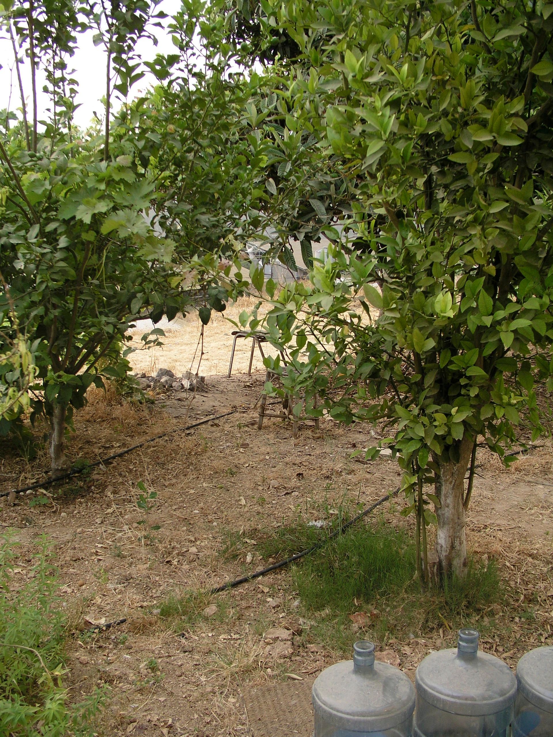 Yard with 3 Used Mineral Water Tanks