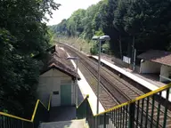 Snakes on a Train Station