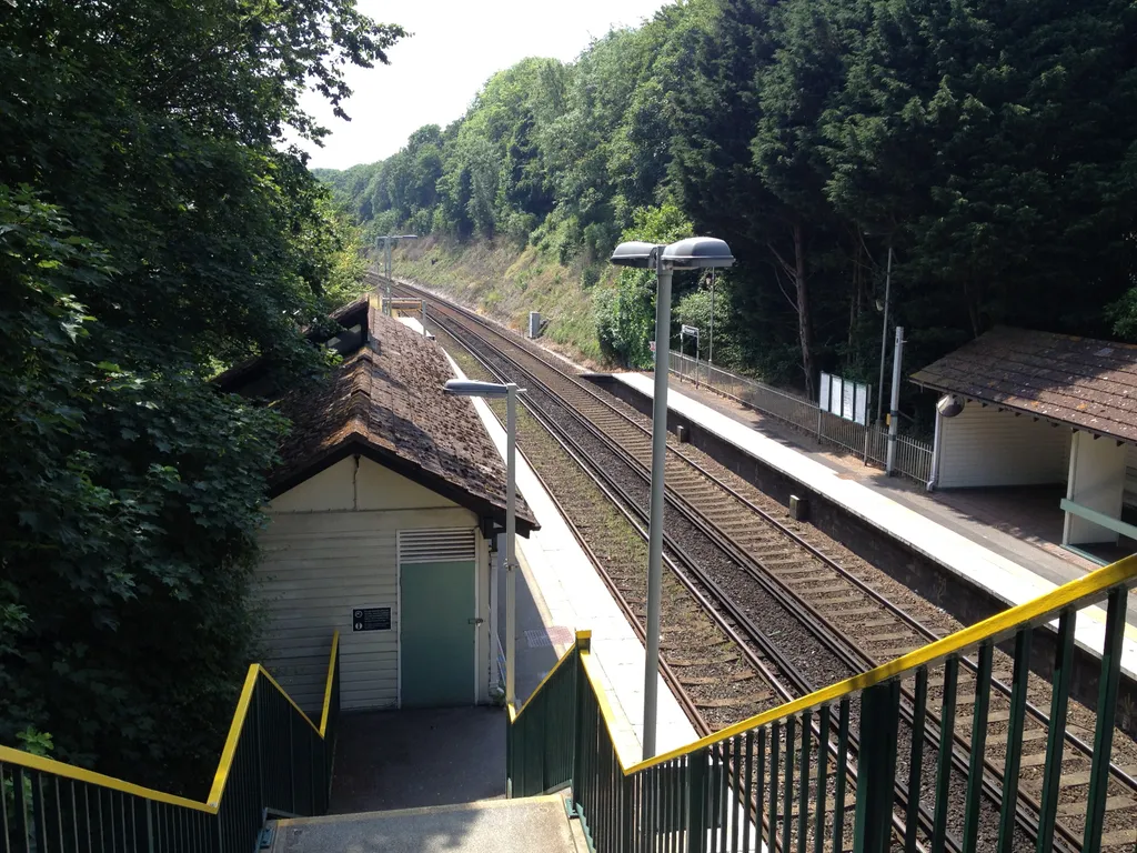 Snakes on a Train Station