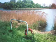 By the lake
