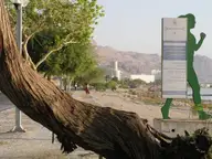 A Walk along the Dead Sea front