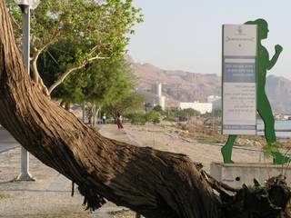 A Walk along the Dead Sea front