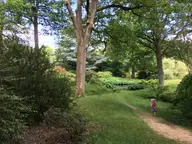 Discovery