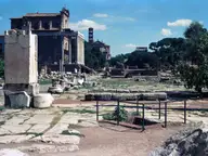 Forum Straight Through