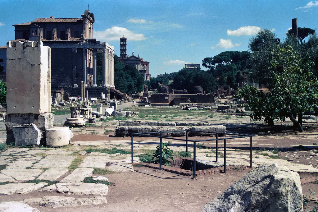 Forum Straight Through