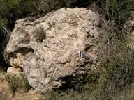 Like a Rock