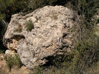 Like a Rock